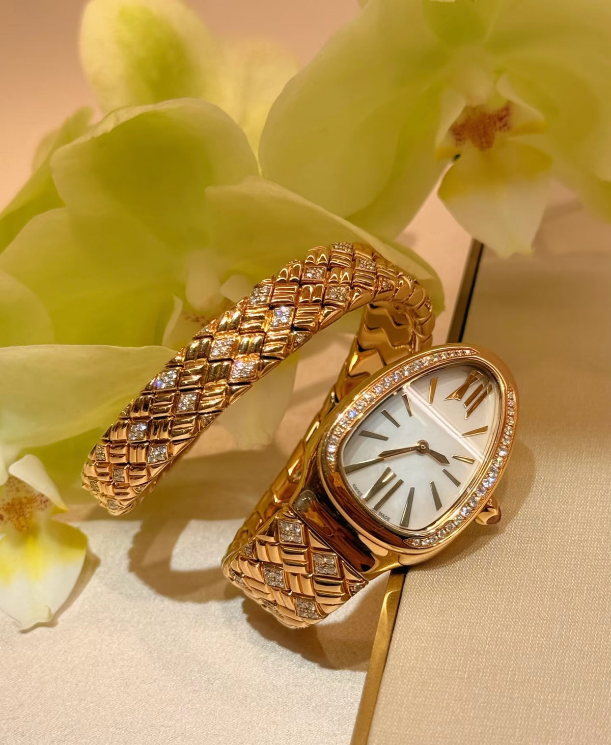 Bob Snake Soraya Yellow Gold Watch — real photo 1